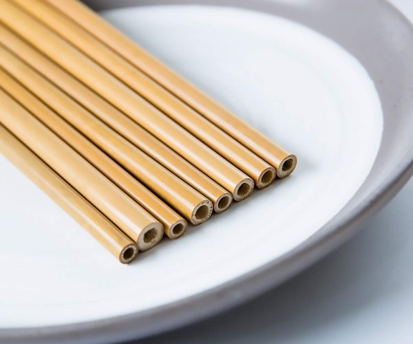 Bamboo Straws Loose Plate 1